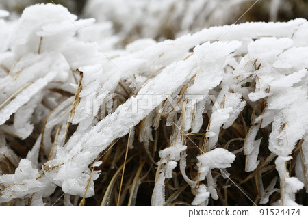 雪域景觀 91524474