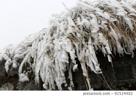 Snowy landscape 91524482