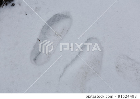 雪域景觀 雪域景觀 91524498