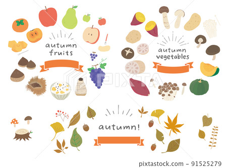 橫幅上的秋季水果、蔬菜和葉子的框架集（帶字母） 91525279
