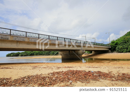廣闊的紅樹林自然中的吹戶川 / 沖繩縣石垣市 91525511