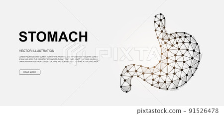 Stomach 3d low poly symbol for landing page template. Digestive system design illustration. Polygonal Organ anatomy illustration for homepage design 91526478