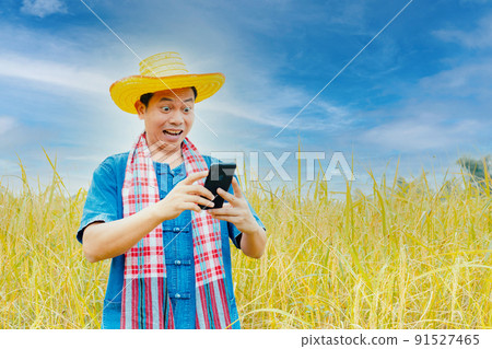 Asian peasants in robes and hats are in a field of golden rice fields. Asian peasants in robes and hats are in a field of golden rice fields. 91527465
