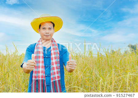 Asian peasants in robes and hats are in a field of golden rice fields. Asian peasants in robes and hats are in a field of golden rice fields. 91527467