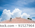 Ryukyu house and blue sky 91527964