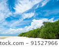 Tropical coast 91527966