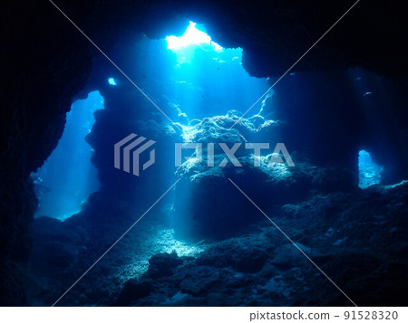 Terrain dive Terrain dive 91528320
