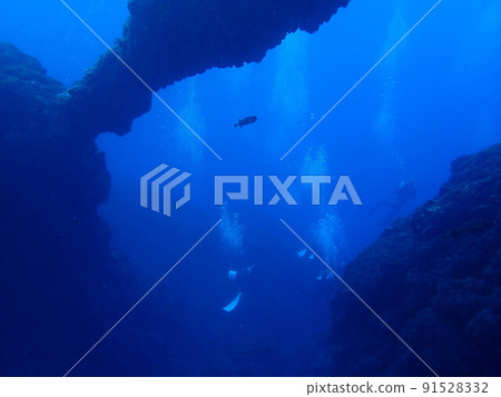 Diver 91528332