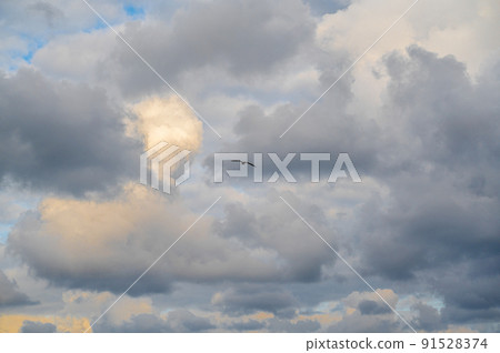 Seagull flying and hovering against a moody dramatic cloudy sky background. Photo of bird on sky 91528374