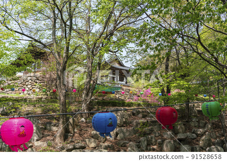 大邱東華寺 91528658