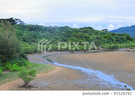 沖繩縣石垣市 Nagura Ampal / Nagura 91528782