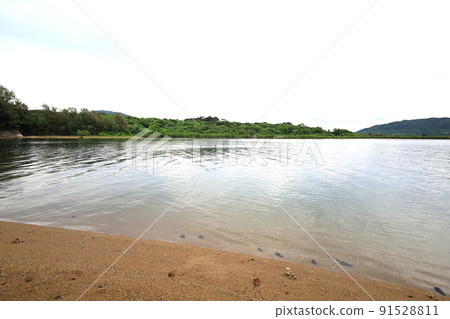Nagura Ampal / Nagura, Ishigaki City, Okinawa Prefecture Nagura Ampal / Nagura, Ishigaki City, Okinawa Prefecture 91528811