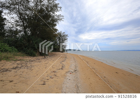 沖繩縣石垣市 Nagura Ampal / Nagura 91528816