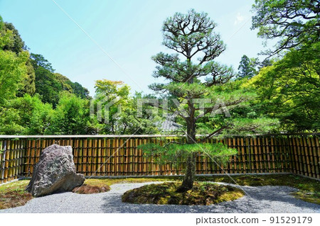 【世界文化遺產】六月攝於京都西法寺（苔蘚寺） 91529179