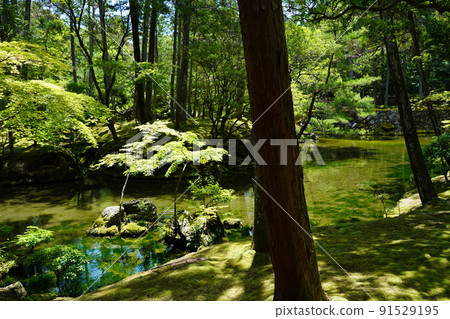 【世界文化遺產】六月攝於京都西法寺(苔蘚寺) 【世界文化遺產】六月攝於京都西法寺(苔蘚寺) 91529195