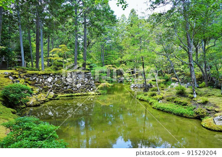 [World Cultural Heritage] Taken in June at Saihoji Temple (Moss Temple) in Kyoto 91529204