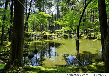 [World Cultural Heritage] Taken in June at Saihoji Temple (Moss Temple) in Kyoto 91529227