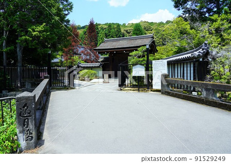 【世界文化遺產】六月攝於京都西法寺（苔蘚寺） 91529249