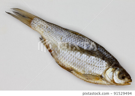 Dried fish on white background. Big dried sea roach. Salted vobla from the Volga River. Open air drying European roach using sun and wind. Isolated. River fish prepared for long-term storage. Close-up 91529494