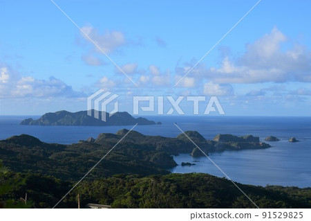 從小笠原諸島母島的 Chibusayama 山路遠眺 91529825
