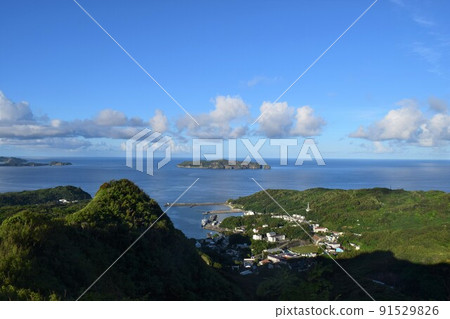 從小笠原諸島母島的 Chibusayama 山路遠眺 91529826