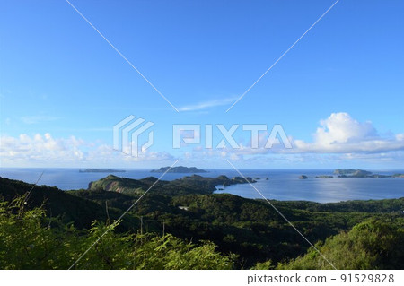 View from the Chibusayama mountain trail on Hahajima, the Ogasawara Islands 91529828