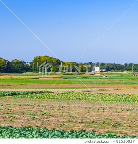 Rural landscape, field agriculture [image of rural Japan] 91530037