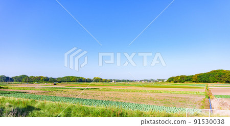Rural landscape, field agriculture [image of rural Japan] 91530038