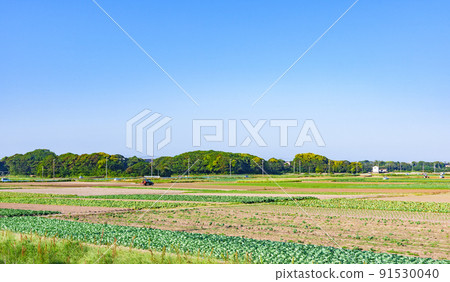 Rural landscape, field agriculture [image of rural Japan] 91530040