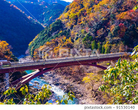 Autumn JR Hozukyo Station Autumn JR Hozukyo Station 91530140