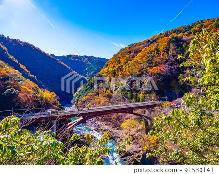 Autumn JR Hozukyo Station 91530141