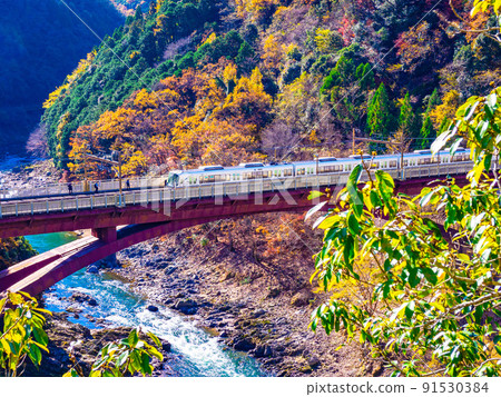 秋天 JR保津京站 91530384