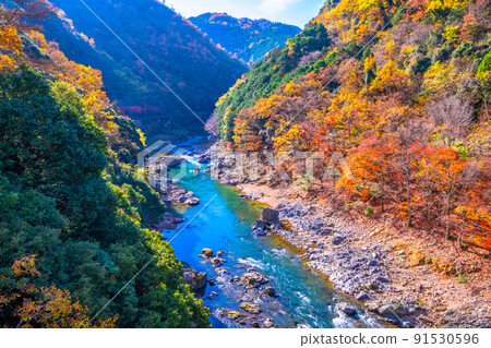 Autumn leaves of Hozu Gorge and Hozu River descent Autumn leaves of Hozu Gorge and Hozu River descent 91530596