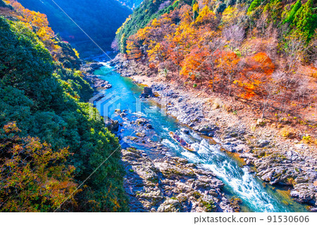 Autumn leaves of Hozu Gorge and Hozu River descent Autumn leaves of Hozu Gorge and Hozu River descent 91530606