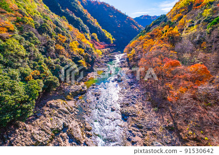 Autumn leaves of Hozu Gorge and Hozu River descent Autumn leaves of Hozu Gorge and Hozu River descent 91530642