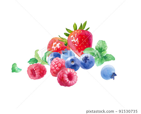 3 種漿果的水彩插圖。覆盆子、草莓、藍莓和薄荷的集合。 91530735