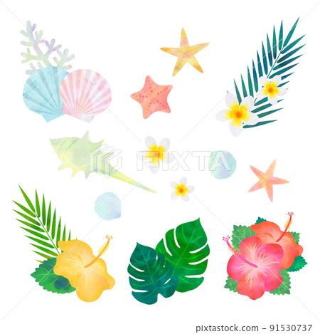 夏季天然素材插畫（水彩風格矢量） 91530737