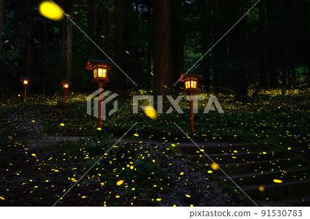 Lanterns and fireflies Lanterns and fireflies 91530783