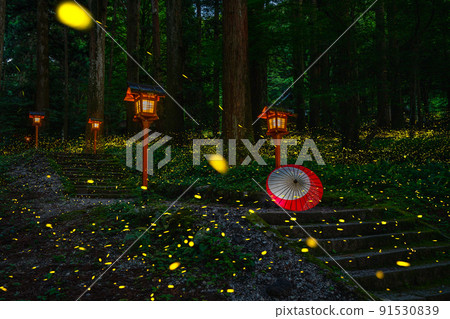 燈籠、hotaria parvula 和日本傘 91530839