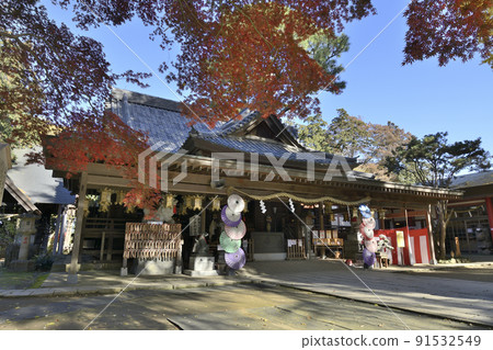 The colored maple leaves and worship hall of Daiho Hachimangu under the clear sky The colored maple leaves and worship hall of Daiho Hachimangu under the clear sky 91532549