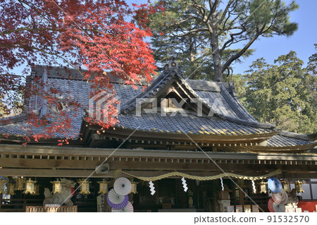 晴空下的大鳳八幡宮的五彩楓葉和禮拜堂 晴空下的大鳳八幡宮的五彩楓葉和禮拜堂 91532570
