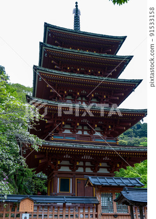 Rainy Hase-dera when peony blooms 91533158