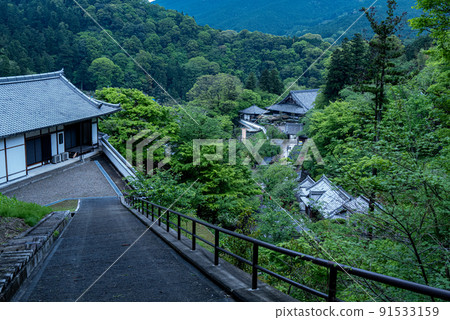 牡丹花開時的雨長谷寺 牡丹花開時的雨長谷寺 91533159