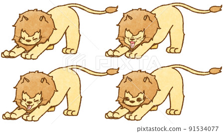 4 patterns of lions that stretch their front legs 91534077