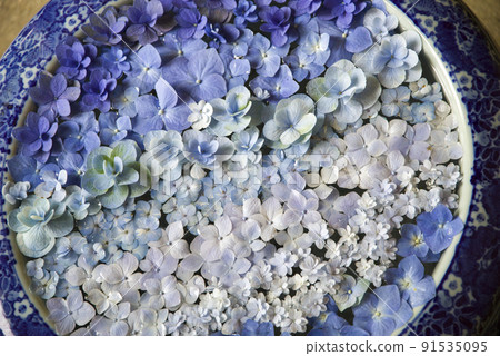 Healing flower hand water 91535095