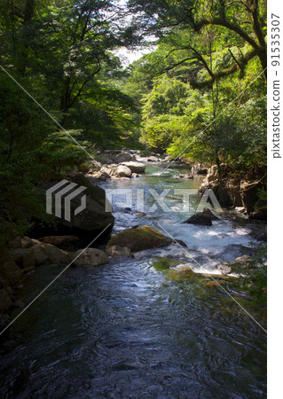 初夏的熊本縣菊池峽 初夏的熊本縣菊池峽 91535307