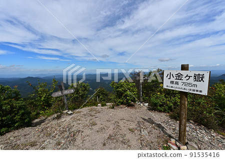 從古金岳 91535416