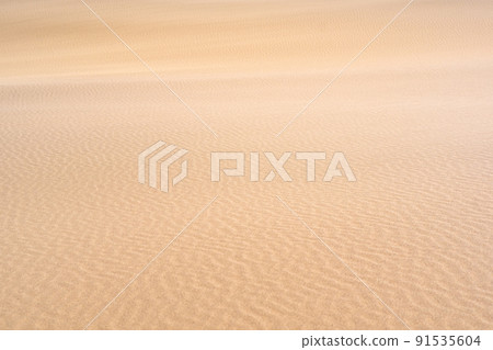 wind ripples on the sandy surface in the desert 91535604