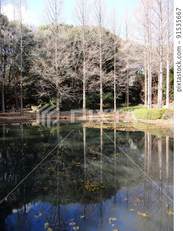 初夏在明石海釣公園等待漏油的蒼鷺 初夏在明石海釣公園等待漏油的蒼鷺 91535667