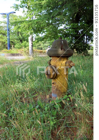 Old fire hydrant in the forest Old fire hydrant 91535716